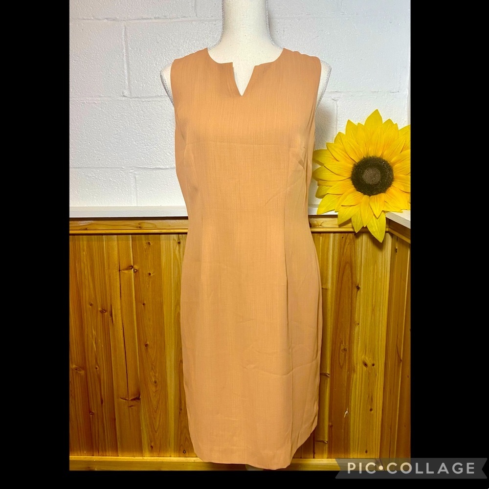Donna Gray Size 6 Tan Sleeveless Dress